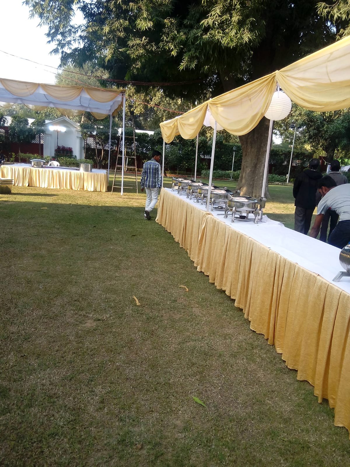 Amway Nutrilite Brand Activities